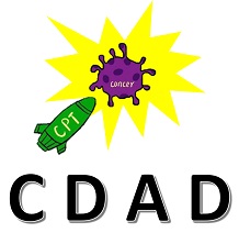 喜树碱抗肿瘤数据库（CDAD）