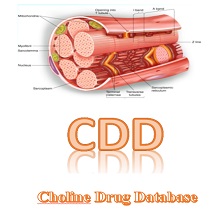 Choline Drug Database（CDD）