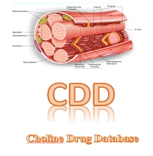 胆碱类药物数据库（CDD）