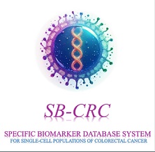 Specific biomarker database system for single-cell populations of colorectal cancer（SB-CRC）