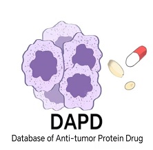 Anti-tumor protein drug database(DAPD)
