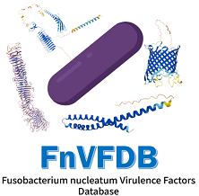 Fusobacterium nucleatum virulence factor database (FnVFDB)
