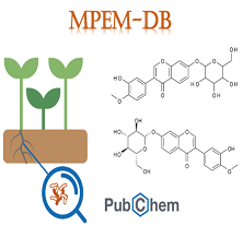 Medicinal Plants Endophytes-Metabolites Database (MPEM-DB)