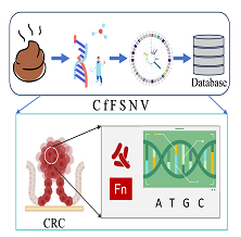 Fecal-Specific Mutational Database of Fusobacterium nucleatum in Colorectal Cancer(CfFSNV)